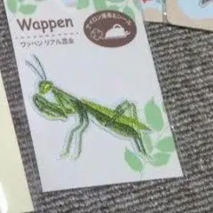 ワッペン リアル昆虫 カマキリ
