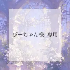 プレインシート　専用