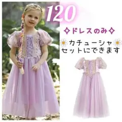 新品❥プリンセスドレス　120　半袖　なりきり　コスプレ　仮装　　ラプ