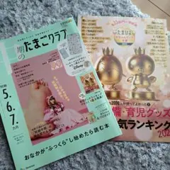 Item thumbnail for item 82be2be7-90be-4960-9281-67e4e5bdec7b