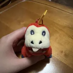 ポケモン ホゲータ ぬいぐるみ マスコット