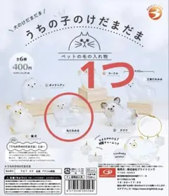 うちの子のけだまだま 犬 丸たれみみ 1つ