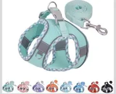 Item thumbnail for item 99d525b4-5507-40c6-b20e-924ccc38c2ed