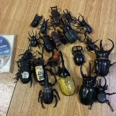 昆虫フィギュア 大量セット カブトムシ クワガタ