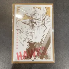 ヒロアカ　ワンシーンカードコレクション ホークス