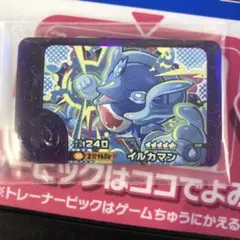 ポケモン フレンダ イルカマン