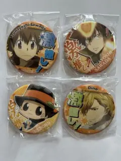 REBORN 激推し　缶バッジ　4点セット