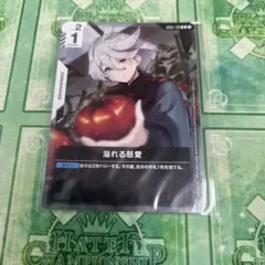 溢れる慈愛 パラレル ニュータイプチャレンジ ガンダムカード