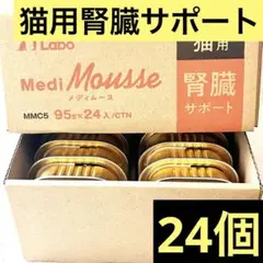 Item thumbnail for item 68e1caa4-2de4-4f4f-b0c1-8fff0fdec1eb