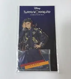 ツイステ ブレジュ ジャミル 缶バッジ 8点 ディズニーツイステッドワンダーランド カプセル缶バッジコレクション