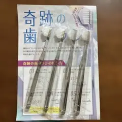 公式奇跡の歯ブラシ透明グレー 子供用　3本セット おまけ1本