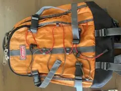 Item thumbnail for item 317054dc-66d1-4c82-a442-590298a84461