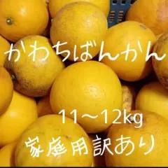 愛媛県産(*^^*)河内晩柑わけありジュース用♪のサムネイル