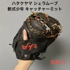 2026年最新】ハタケヤマ キャッチャーミット 軟式 少年の人気アイテム