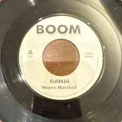 Wayne Marshall - Ganja