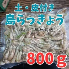らっきょう 箱込み10キロ発送 - メルカリ