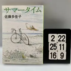 サマータイム 2-22*25.16*9
