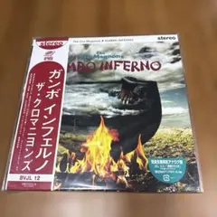 2026年最新】クロマニヨンズ レコード イエティの人気アイテム - メルカリ