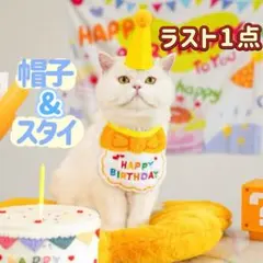 Item thumbnail for item 506faf9c-a2a0-48fa-be18-ea9f8a1d8cd7