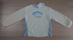 Item thumbnail for item cd4b769f-13e2-404a-b3c0-08622f32ac53