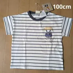 アンパンマン　ダダンダン　ボーダー半袖Tシャツ