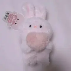 K1KEYZ YOSHIKI 矢田佳暉 うさぎ ぬいぐるみ 韓国