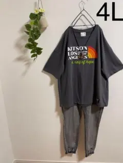 新品　tシャツ♡レトロロゴtシャツ♡4L