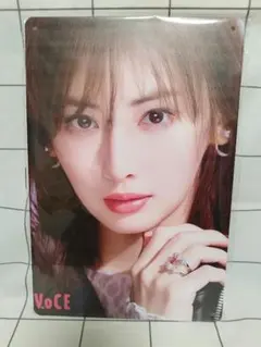 ブリキ看板 アイドル