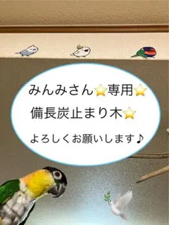 Item thumbnail for item 2933c668-5d1b-4b30-abbe-51cd82eedc7e