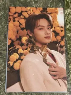 seventeen your choice ポストカード　ジュン