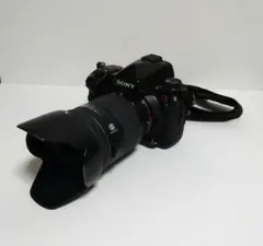 2026年最新】SONY α900の人気アイテム - メルカリ