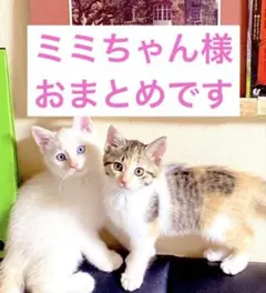 ミミちゃん（出品しまーす）様 リクエスト 5点 まとめ商品