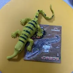 クロコダイルアンドコ　インドガビアル