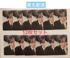 &TEAM FUMA Back to Life トレカ12枚セット