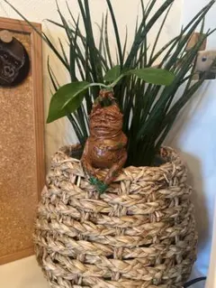 マンドラゴラマンドレイク風　置き物