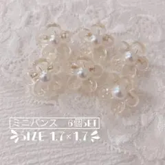 フラワーミニバンス 6個セット　クリア