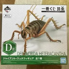 一番くじ 昆虫 D賞 ジャイアント・ウェタ フィギュア