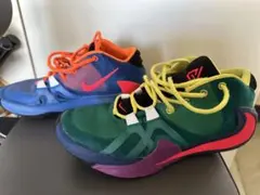 NIKE ズームフリーク1 マルチカラー　29cm