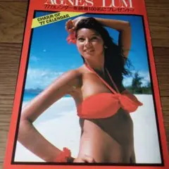 ★「アグネス・ラム②」雑誌グラビア切り抜き