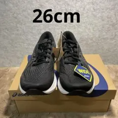asics(アシックス) メンズEvoRide Speed 3ランニングシューズ