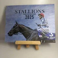 Darley 2006年　スタリオンブック　美品 Darley 2006年 スタリオンブック 美品 - メルカリ