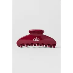 日本未入荷】alo クリア 透明 ビンテージピンク ヘアクリップ - メルカリ