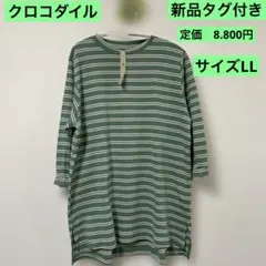 クロコダイル ストライプ 8分袖チュニック 緑と白 新品 定価　8.800円