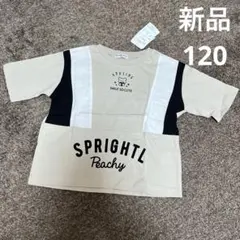 新品　タグ付き　120サイズ　半袖Tシャツ　キッズ　女の子　夏服　くま