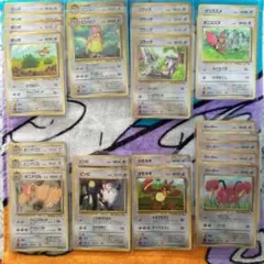 ポケモンカードゲーム 拡張シート 無色タイプセット