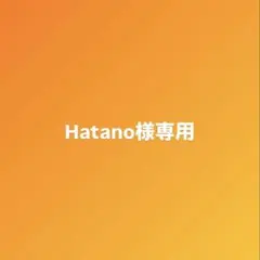 Hatano様専用 箱無 はんだこて 先端クリーナー 日本製