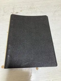 Item thumbnail for item 574a5816-aaef-4934-aabd-1354454c0fcf