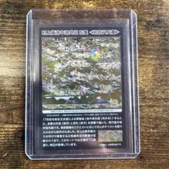 2026年最新】村上隆 トレーディングカードの人気アイテム - メルカリ