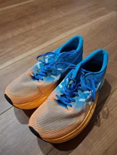 メタスピードスカイ