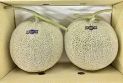 糖度19!! 「太陽の華」富良野メロン 2玉 品種：ティアラ - メルカリ